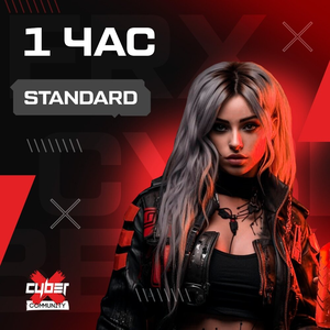 1 час Стандарт