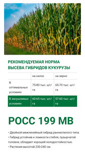 Семена кукурузы РОСС 199 МВ