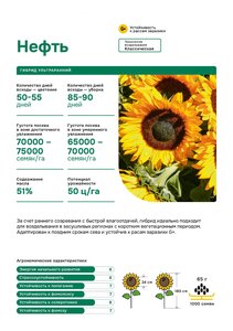 Нефть ультраранний гибрид A-G+. Семена подсолнечника