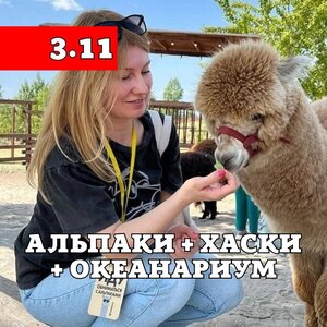 Воронеж. Океанариум, парк альпак и хаски. Тур из Курска