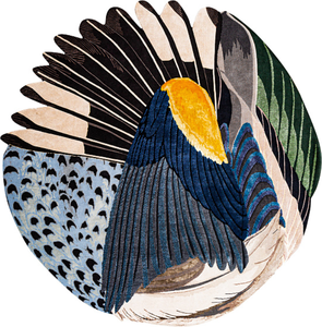 Cc-tapis