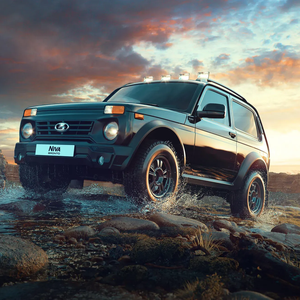 Niva Bronto