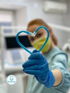 Консультация / осмотр стоматолога-терапевта