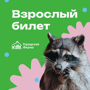 Взрослый билет с 14-ти лет