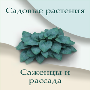 Садовые растения