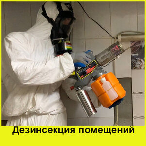 Дезинсекция помещений