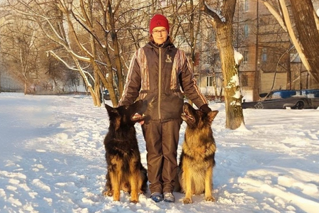 Собака компаньон (ВН) (БХ). Немецкий норматив. 
