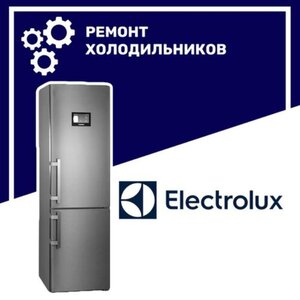 Ремонт холодильников Electrolux (Электролюкс) в Воронеже