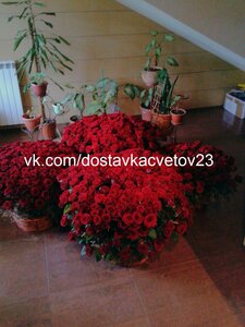 Букет из 1001 розы