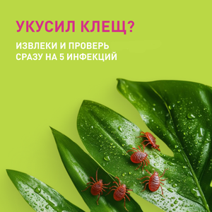 Анализ клеща