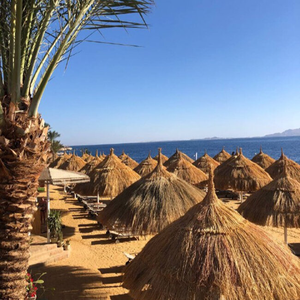 Египет Rixos Golf Villas & Suites 5* из Москвы 21.12 