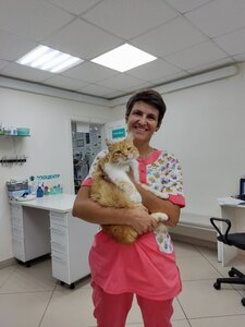Офтальмология для животных 