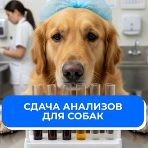 Сдача анализов для собак в Москве