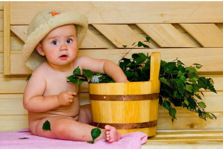 Сауна с вениками