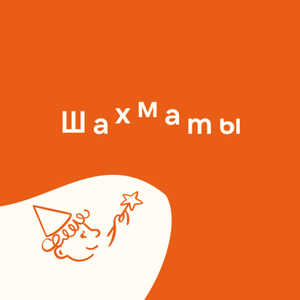 Шахматы