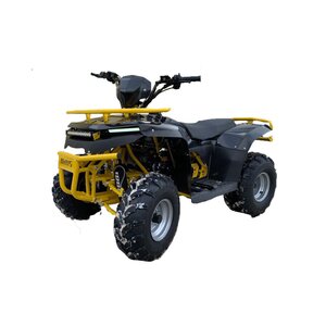 IRBIS 125