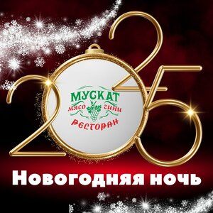 Новогодняя ночь 2025