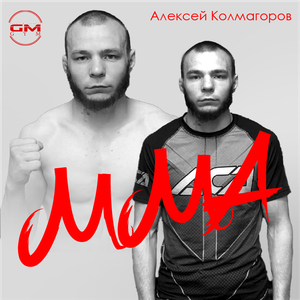 ММА для новичков 