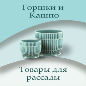 Горшки и кашпо