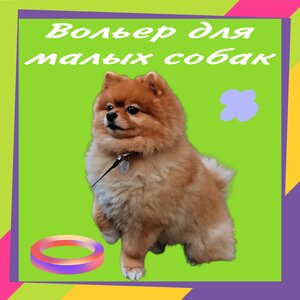Зоогостиница для собак. Вольеры для малых собак