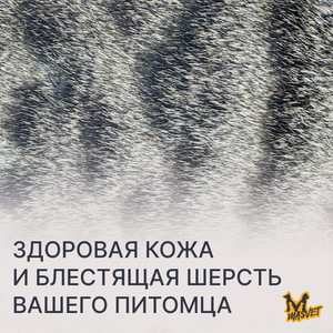 Обследование кожи 