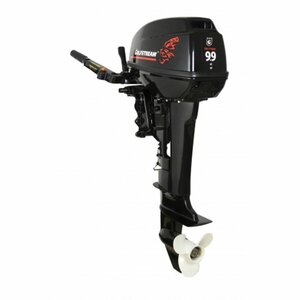 Лодочный мотор Golfstream T 9.9 BMS USB