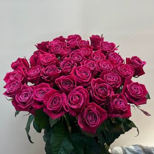 Букет из 33 роз Шангри Ла 60 см