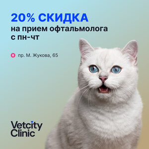 Прием офтальмолога -20%