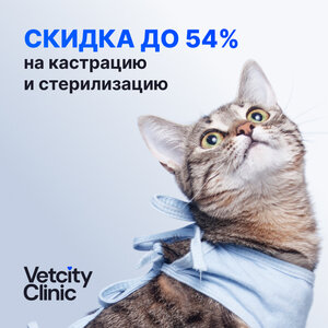 Кастрация/стерилизация 