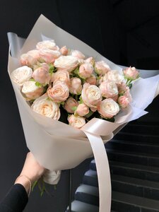 Розы кустовые сорта Бомбастик 9 шт.