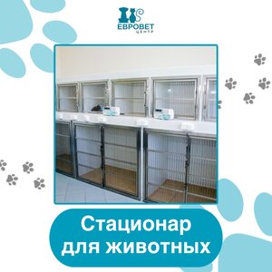 Стационар для животных