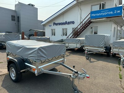 Прицепы Спутник