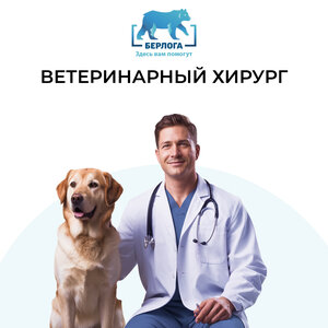 Ветеринарный хирург