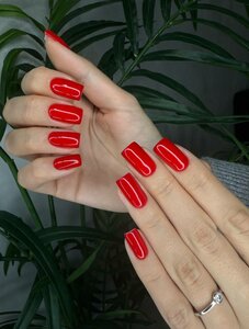 Топ-мастер, комплекс Perfect 