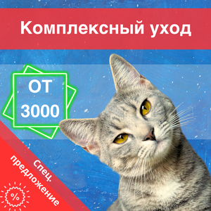 Комплексный уход за кошками в зоосалоне
