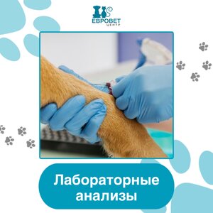Лабораторные анализы