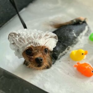 Молочная ванна MILK SPA с маской Iv San Bernard+ Озоноте