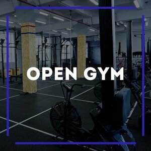 1 месяц OPEN GYM