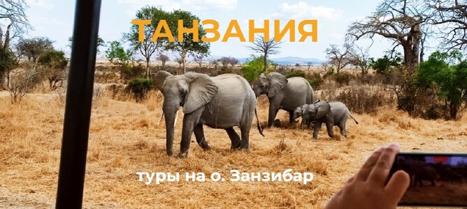 Туры в Танзанию выгодно! Выгода до 45% 