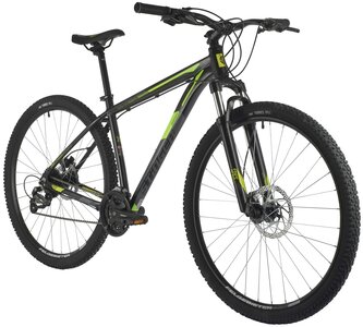 STINGER GRAPHITE PRO 29"