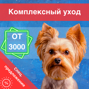 Йоркширские терьеры - комплексный уход (Все включено!)