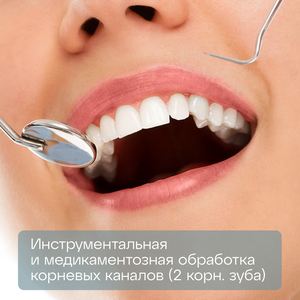 Инструментальная и мед. обработка корневых каналов