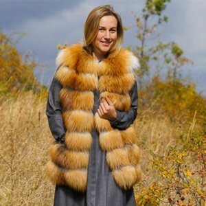 Лисица, песец, фрост