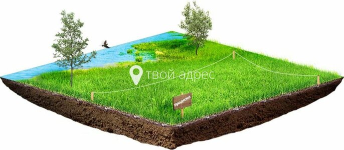 Аудит земельного участка