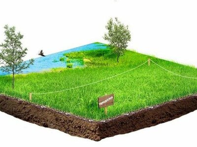 Землеустроительная экспертиза