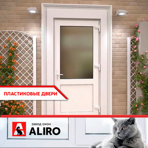 Пластиковые двери