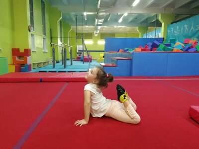 Спортивная гимнастика для девочек и мальчиков в сети маг