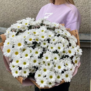 15 кустовых белых хризантем