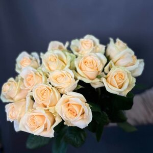 Букет из 15 кремовых роз