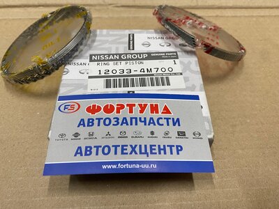 Кольца QG18 STD [12033-4M700] NISSAN /2 кольца с замками